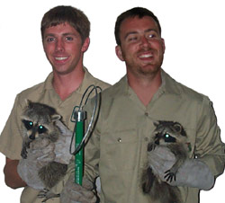 Philadelphia Wildlife Control Pest Animal Removal Squirrel Bat Raccoon